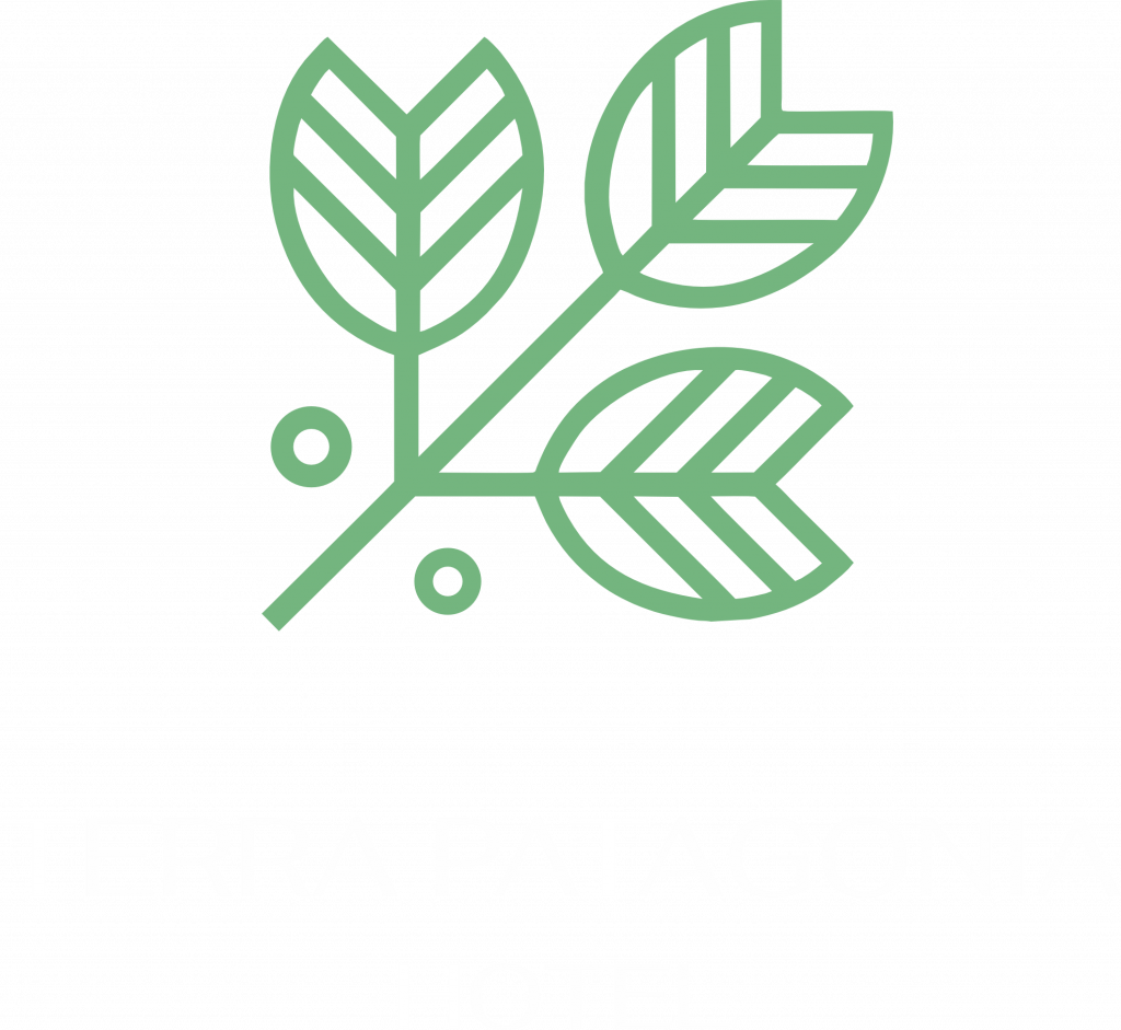 Terra Patangonia